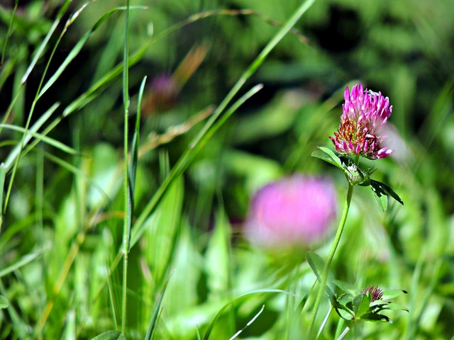 Piotr Trosiński #168579