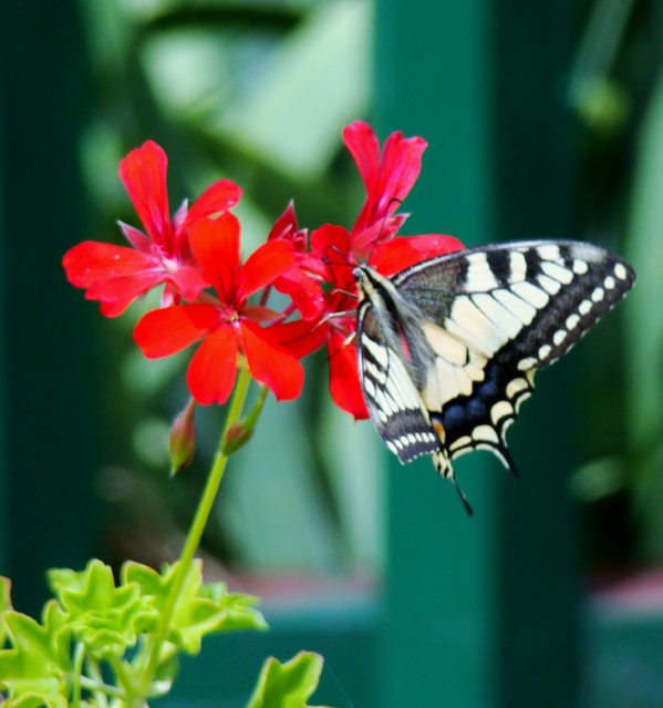 Wojciech Łatka #155849