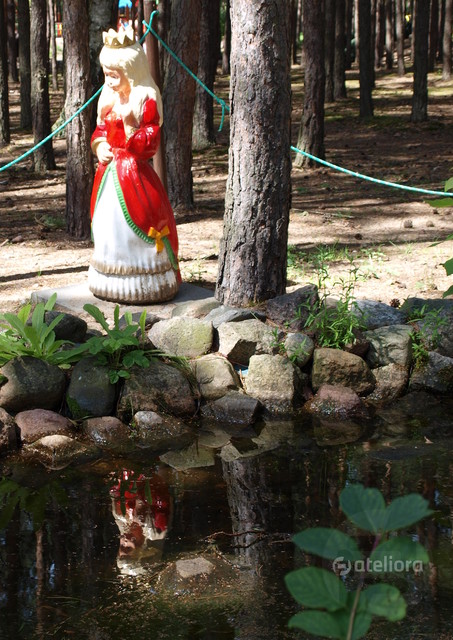 OLYMPUS DIGITAL CAMERA Picasa #163626