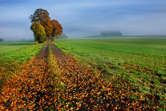 Sławek Rezerwa 