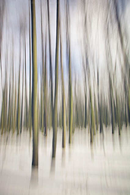 MariuszFotografia #314357