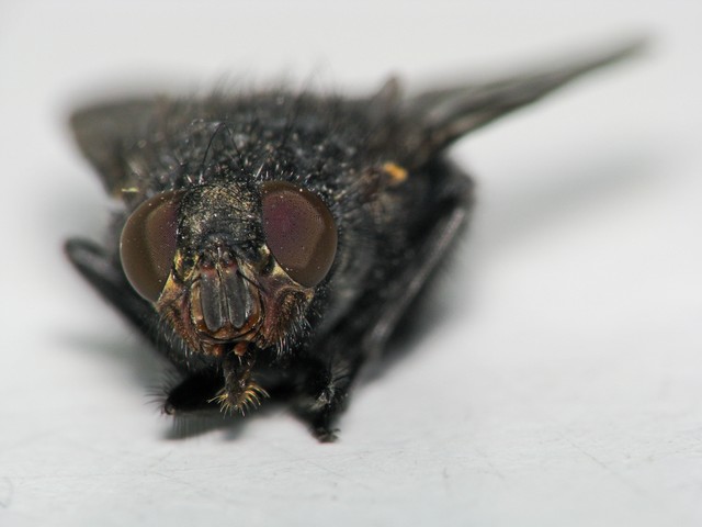 Krzysztof Sieśkiewicz #119670