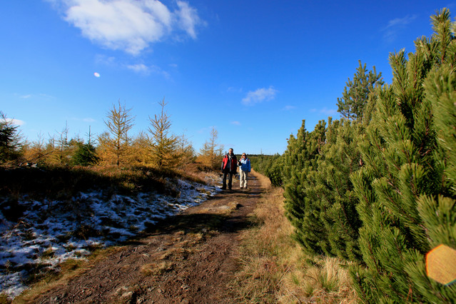 Na szlaku gór Izerskich Jesienny Otwarty Plener Fotograficzny