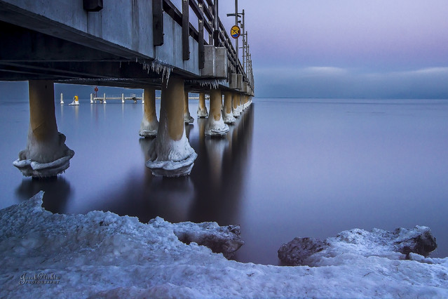 JACEK_PLICHTA #314393