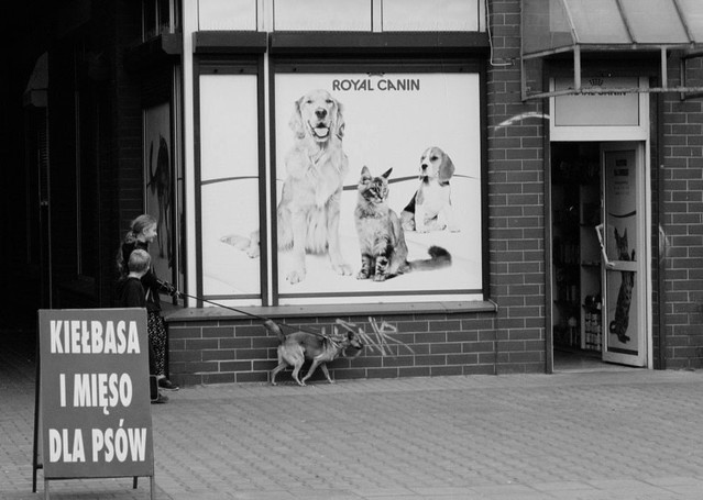 IslBG IslBG BigLebowski #312059