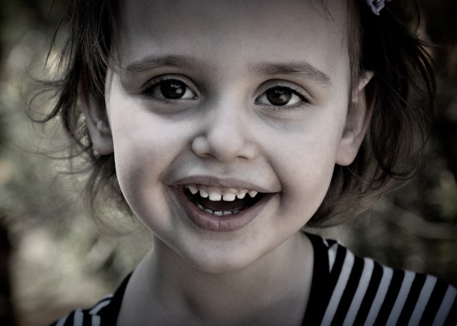 Picasa 