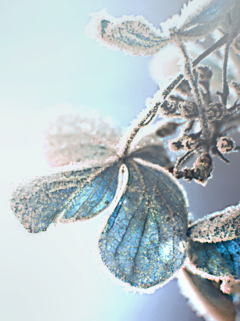 OLYMPUS DIGITAL CAMERA OLYMPUS DIGITAL CAMERA kasiadzie #301956