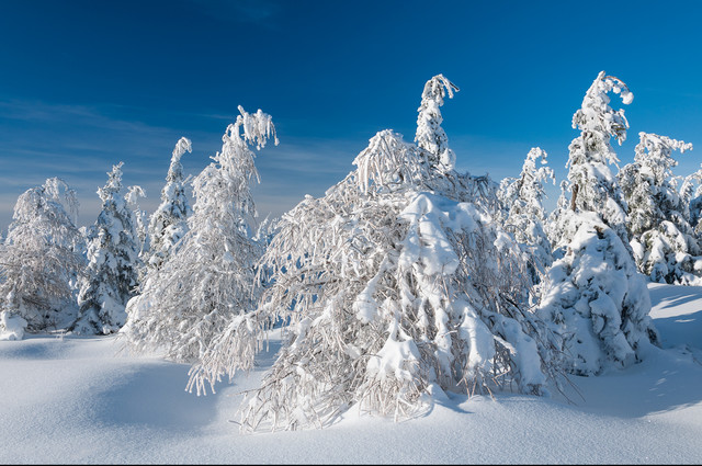 zbynek Góry Izerskie Stóg Izerski - Świeradów Zdrój