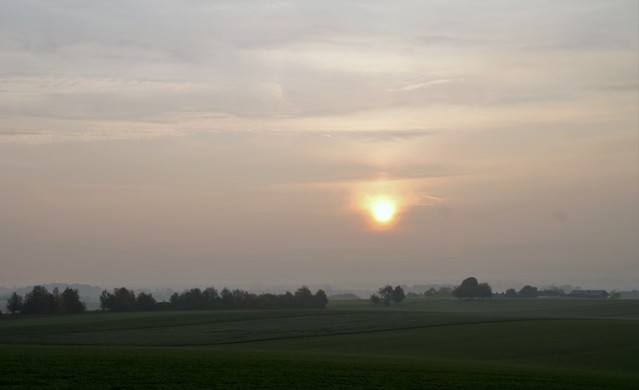 Jarek Jarecki #300537