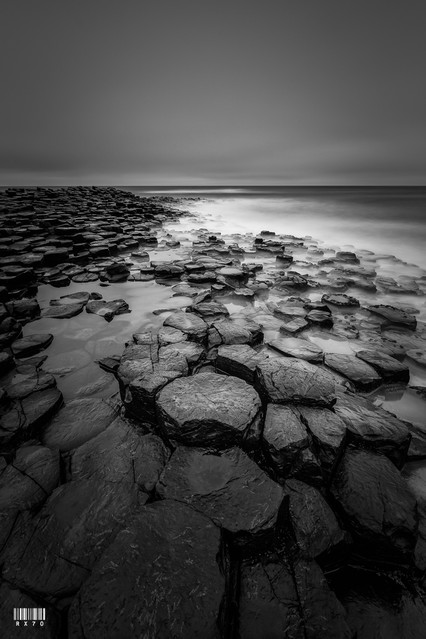 Ryszard Lomnicki | Giant's Causeway
