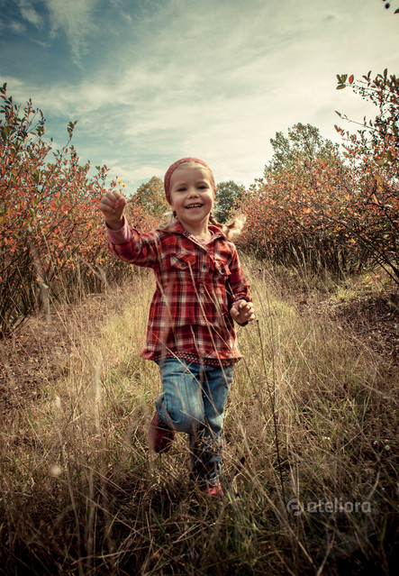 SONY DSC SONY DSC malenka740715 #169434