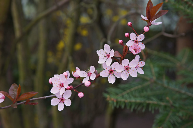 SONY DSC Private1 #274939