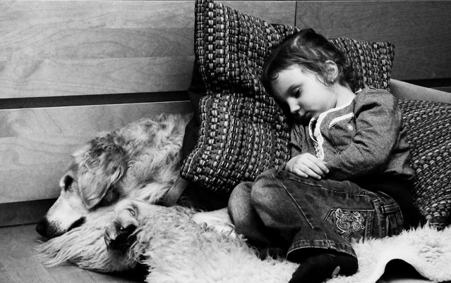 Marzena Sieradzka #185991