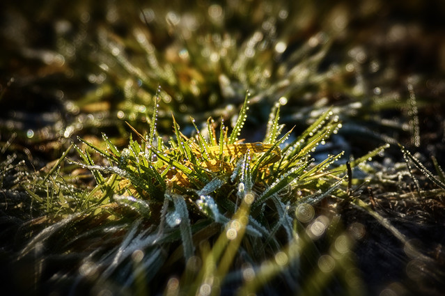 Tomasz Naglik #302257