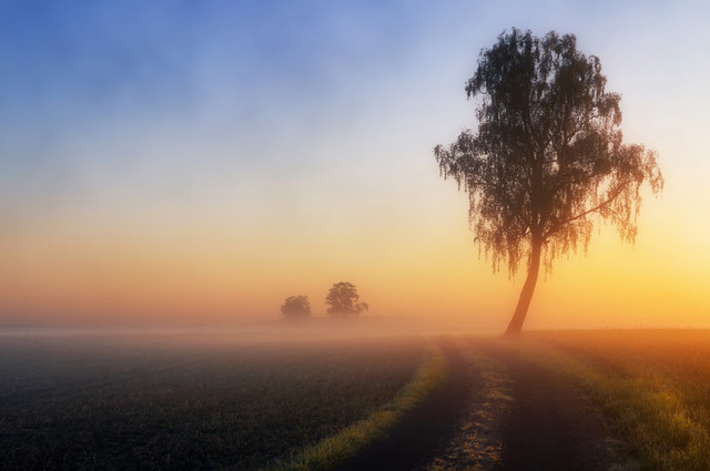 Sławek Rezerwa 