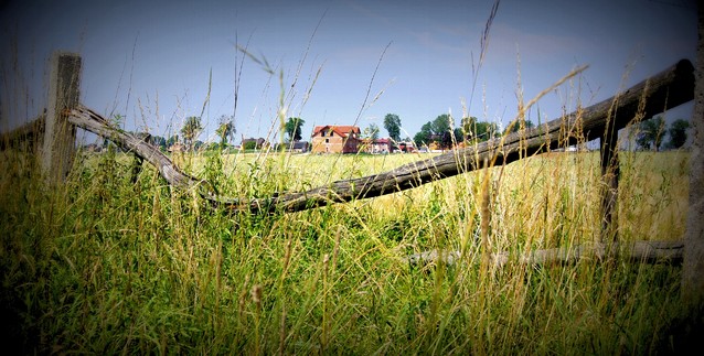 Picasa Tychy 