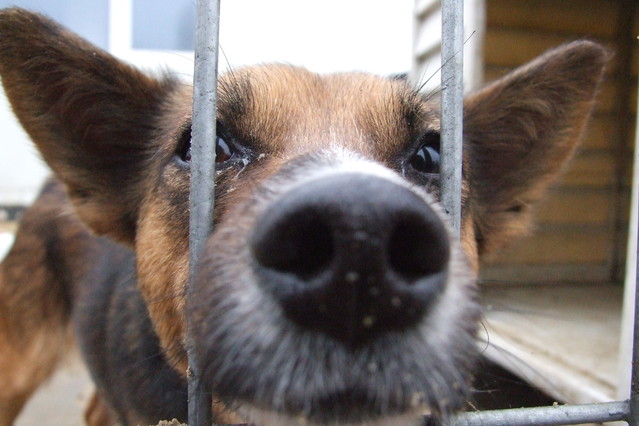 Katlin Jamesk #129483