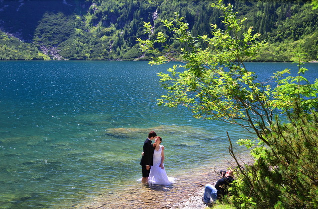 Janusz Mojżesz #269959