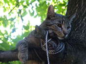 Karolina Skarżyńska 