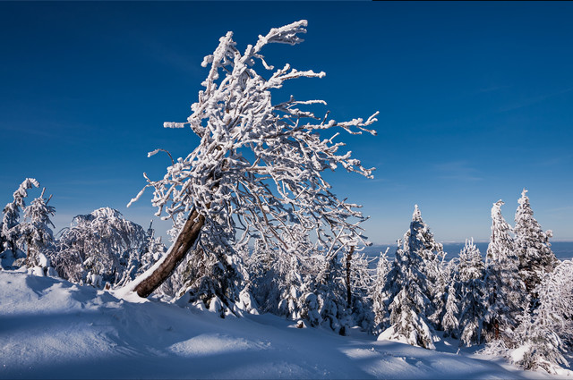 zbynek Góry Izerskie Stóg Izerski - Świeradów Zdrój
