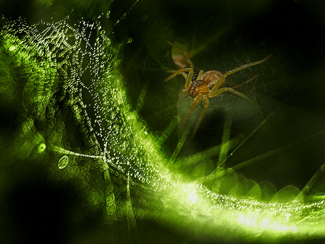 macrofun Na progu drogi mlecznej.