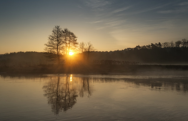Świt nad rzeką Gwda. Krzysztof Tollas #305716