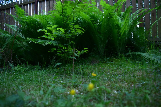 Krzysztof Gabrielski #277819