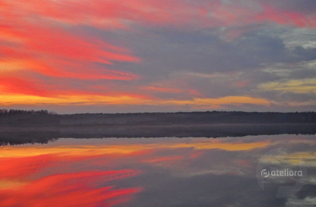 Zbigniew Kapusta #237889