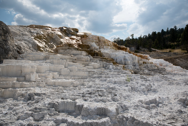 Jacek Pióro #318924