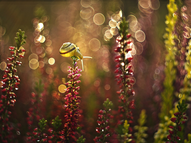 macrofun Wrześniowe pejzaże