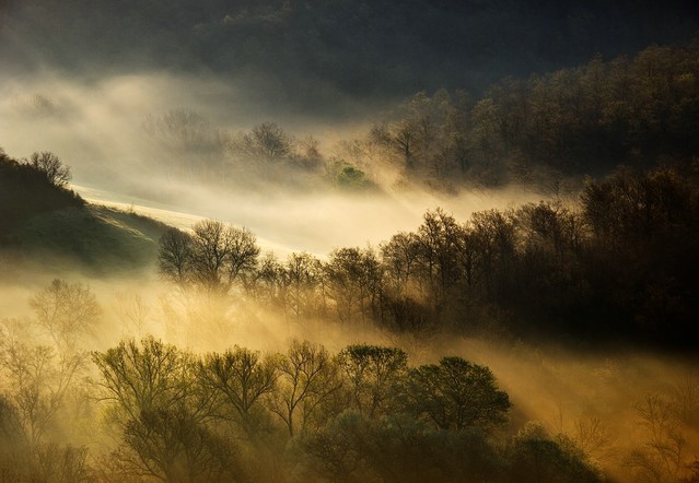 AdamPa tuscany light