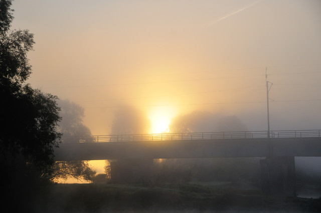 TOMASZ OLECHNO #170699