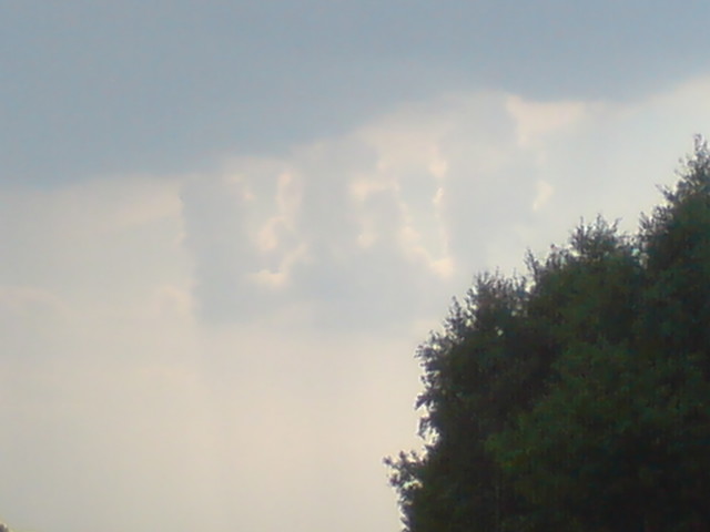 Witek Koch Pierwsza litera mojego imienia 