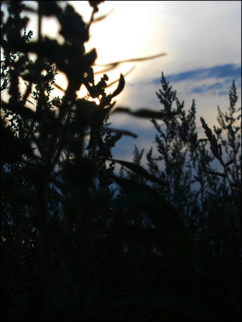 Sylwia Stańczykowska 