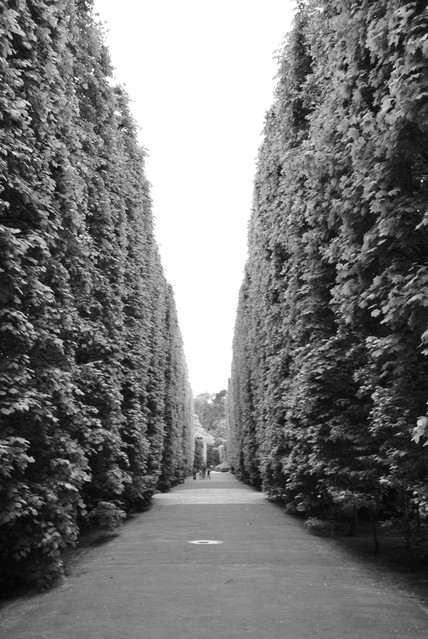 Paweł Kryściński #211606