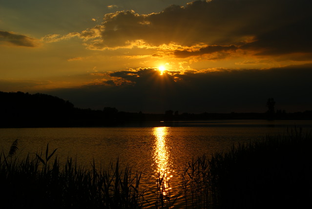 SONY DSC Misiekmaestro #173655