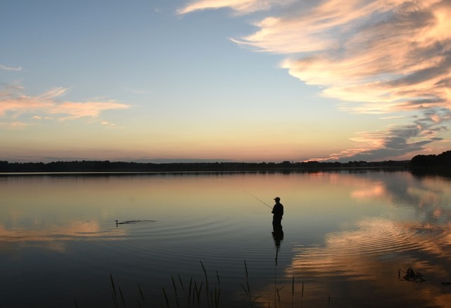 spotkanie z ptakiem... Stanisław Hawrus #294678