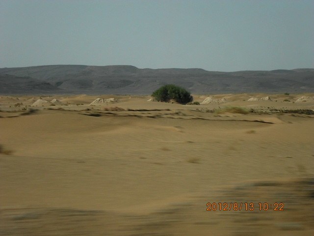 Ewa Ejchorszt #166390