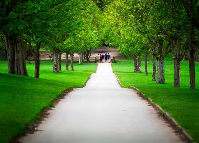 Poranny spacer wiosenny Krzysztof Tollas #315960