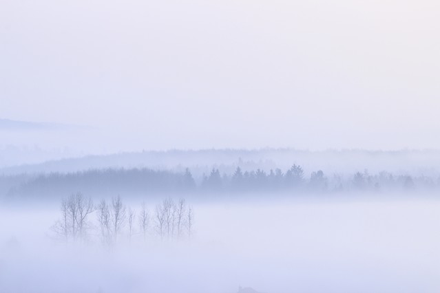 Marcin Rydzewski Mglisty poranek