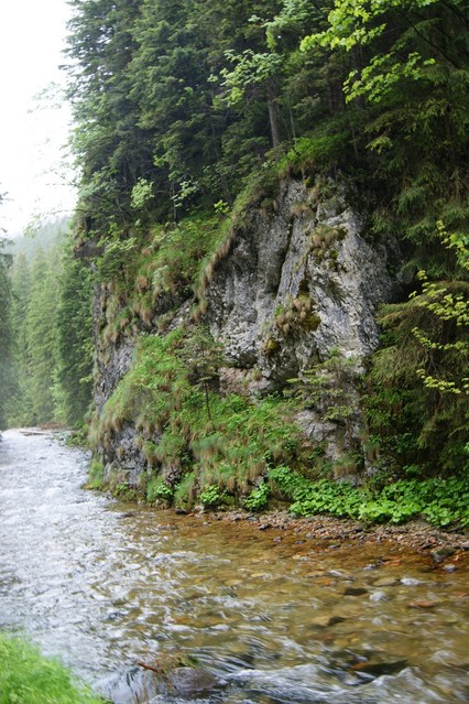 BAŁKA TATRZAŃSKA ZYGMUNT CZARNECKI #173927