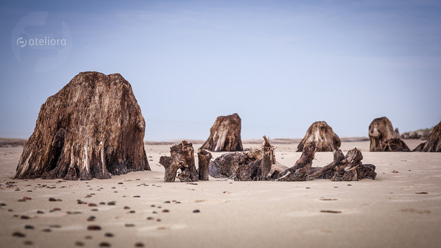 Słowiński Park Narodowy Słowiński Park Narodowy – jeden z 23