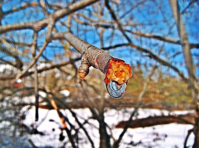 ŁZA PO... Piotr Trosiński #169237