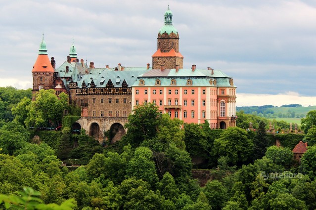 Książ Janina Godlewska-Gorczyca #214472