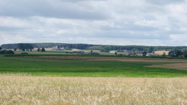 Mirosław Wysocki #264429