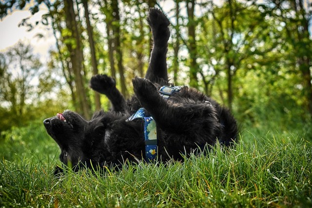 SONY DSC SONY DSC Tomasz Naglik #324384