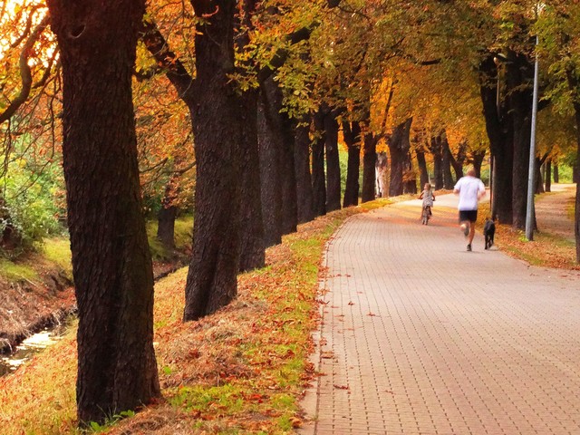 Mirosław Kaczkowski #300395