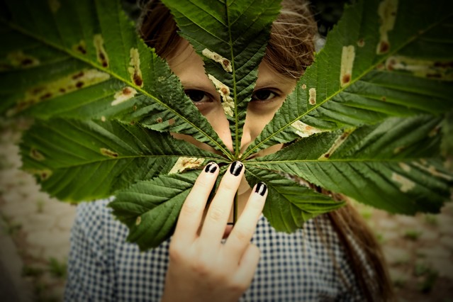 Katarzyna Sypniewska #294803