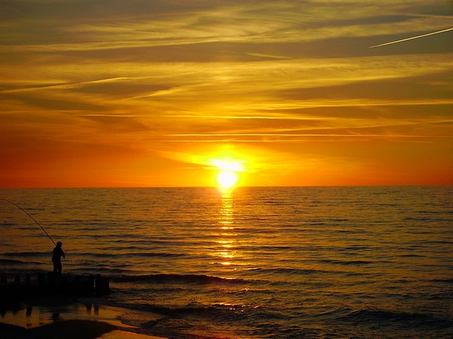 DIGITAL CAMERA Jarek Jarecki #302780